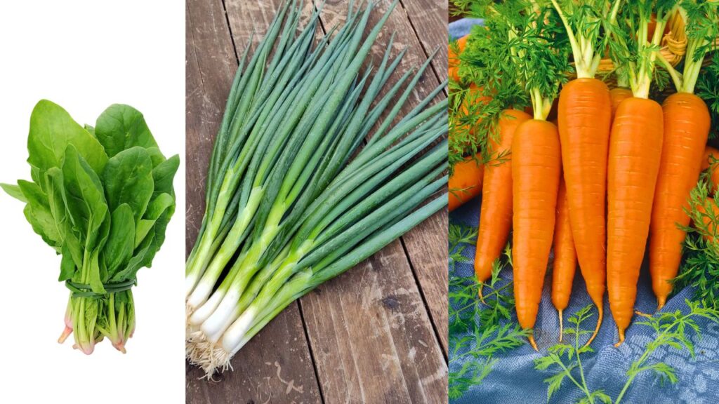 7 Winter Vegetables
