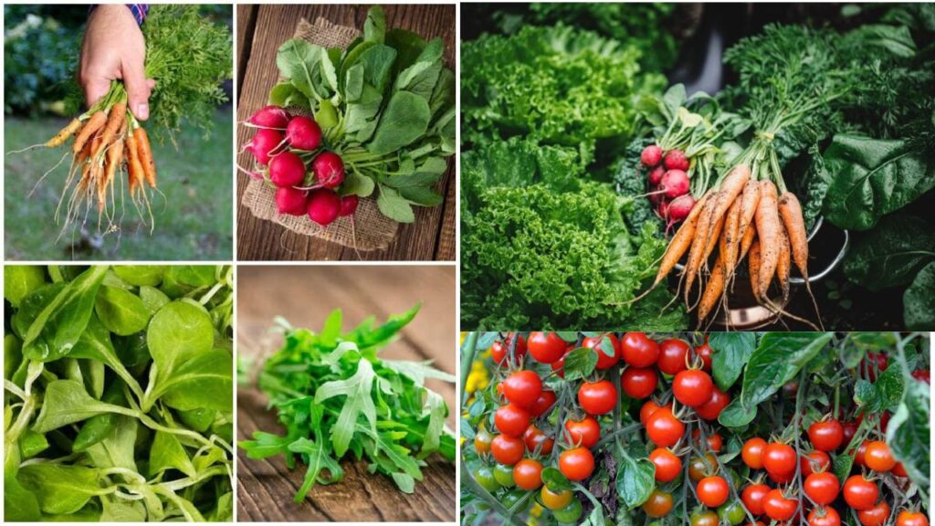 9 Foolproof Vegetables