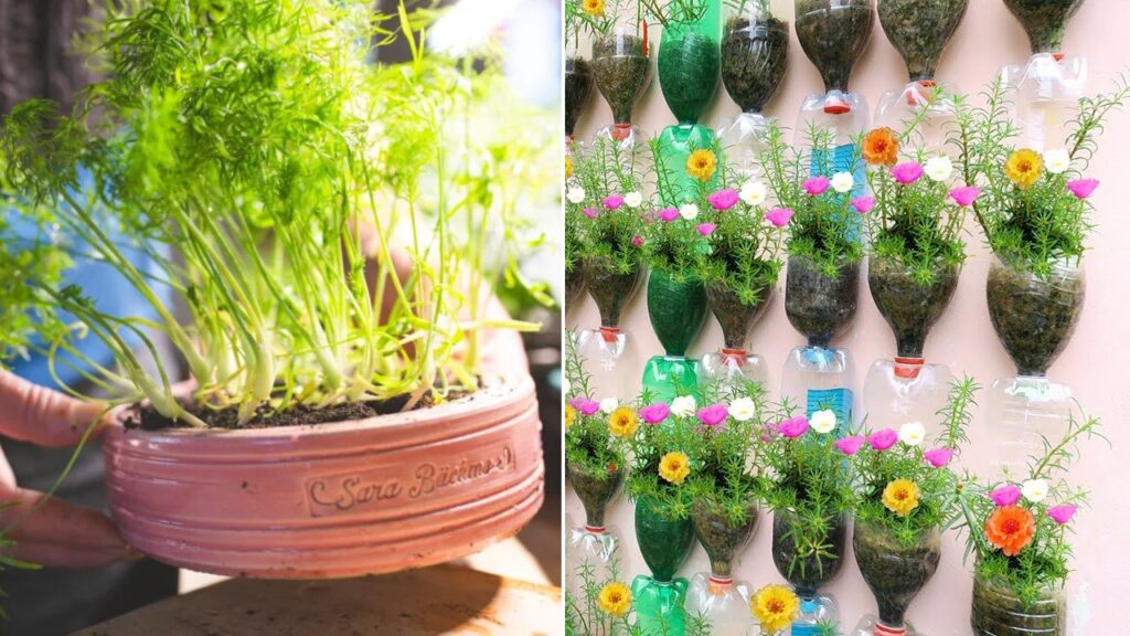 Americans Turning Eco-Friendly