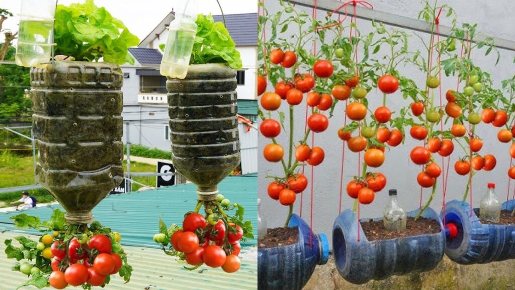 Australia 2-in-1 Hanging Garden Hack
