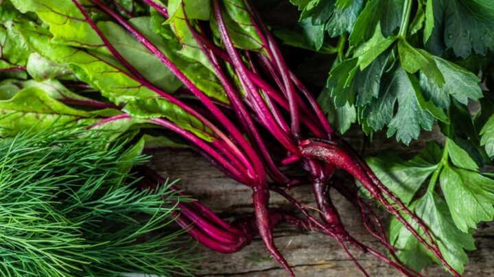 Beet Greens