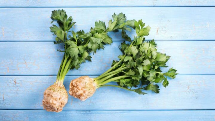 Celeriac