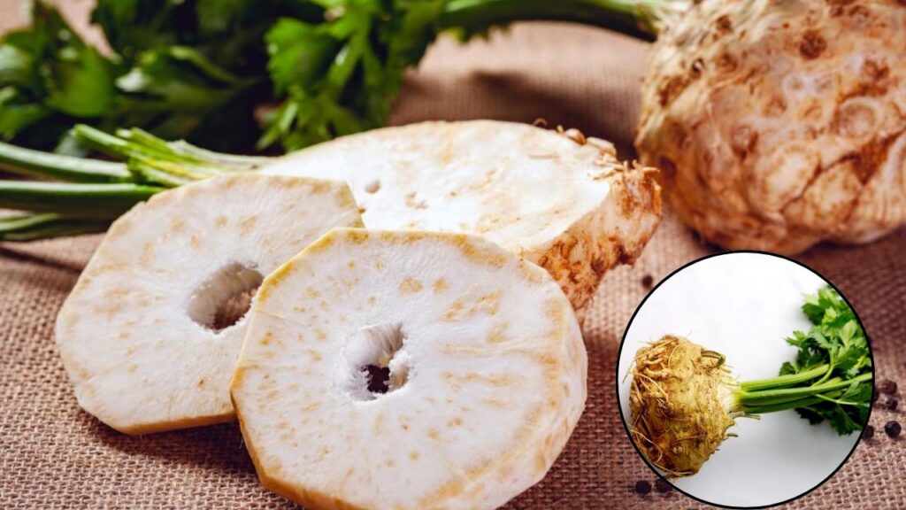 Celeriac Craze in Australia