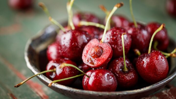 Cherry Tree From a Pit