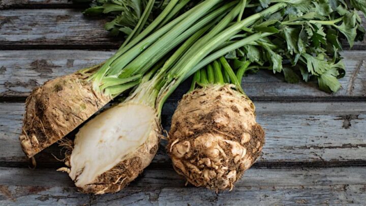 Cooking with Celeriac