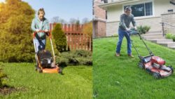 Should You Cut the Lawn Before or After It Rains? Experts Finally Reveal the Truth!