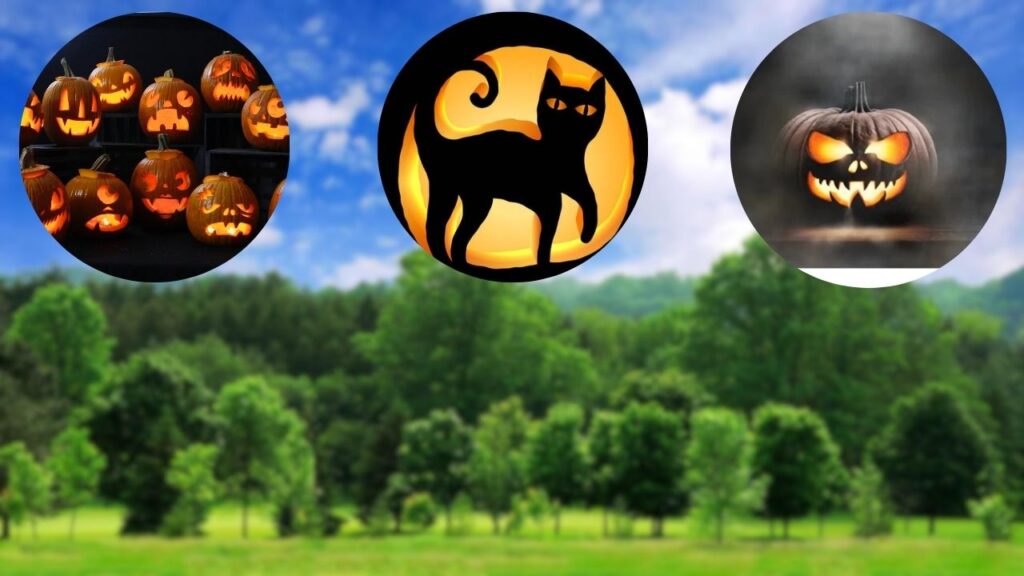DIY Pumpkin Carving Ideas