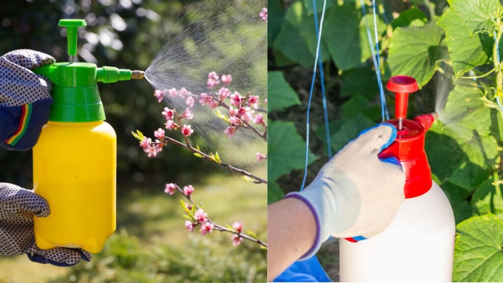 Easiest Pest Control Trick