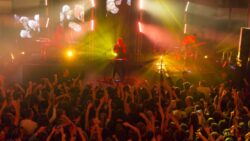 Exploring Canberra’s Laneway Nightlife : Why Reload Bar Is the Heart of the City’s Gaming Scene