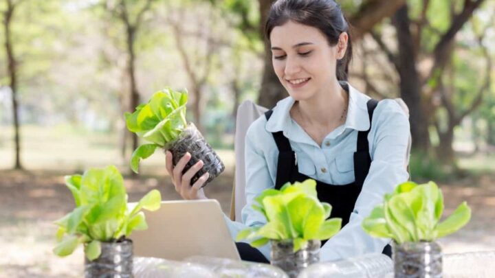 Fennel Bottle Gardening