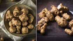 Australia’s Hidden Gem – Jerusalem Artichoke Recipes and Health Benefits You’ll Love