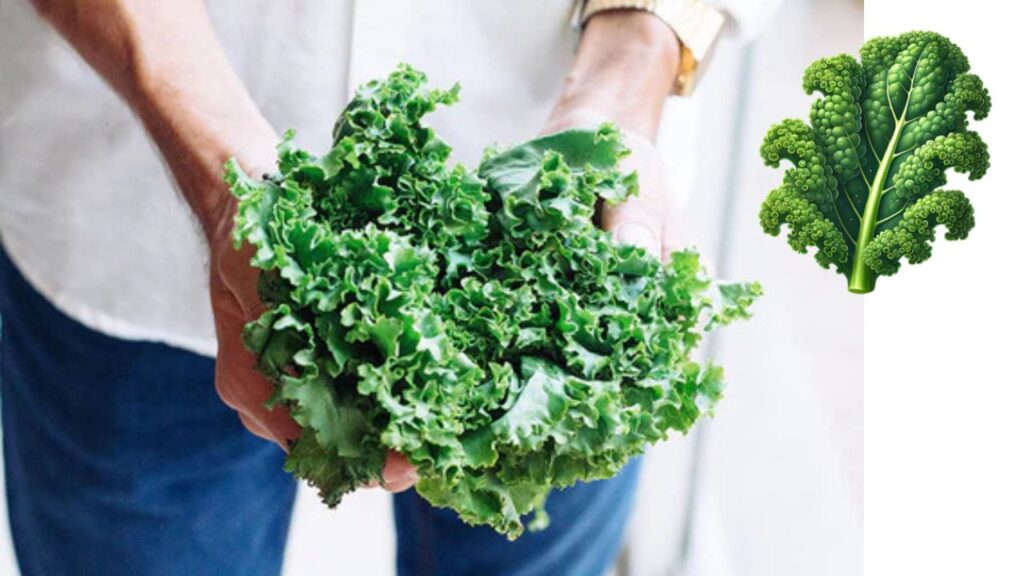 Kale Fever in Australia