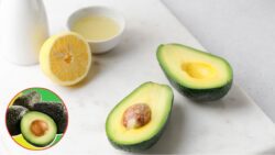 Keep Avocados Fresh All Day – The Simple Lemon Trick Going Viral