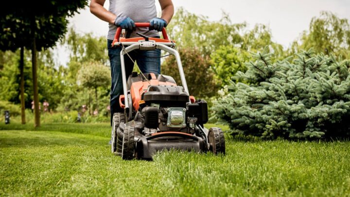  Lawn Before or After It Rains