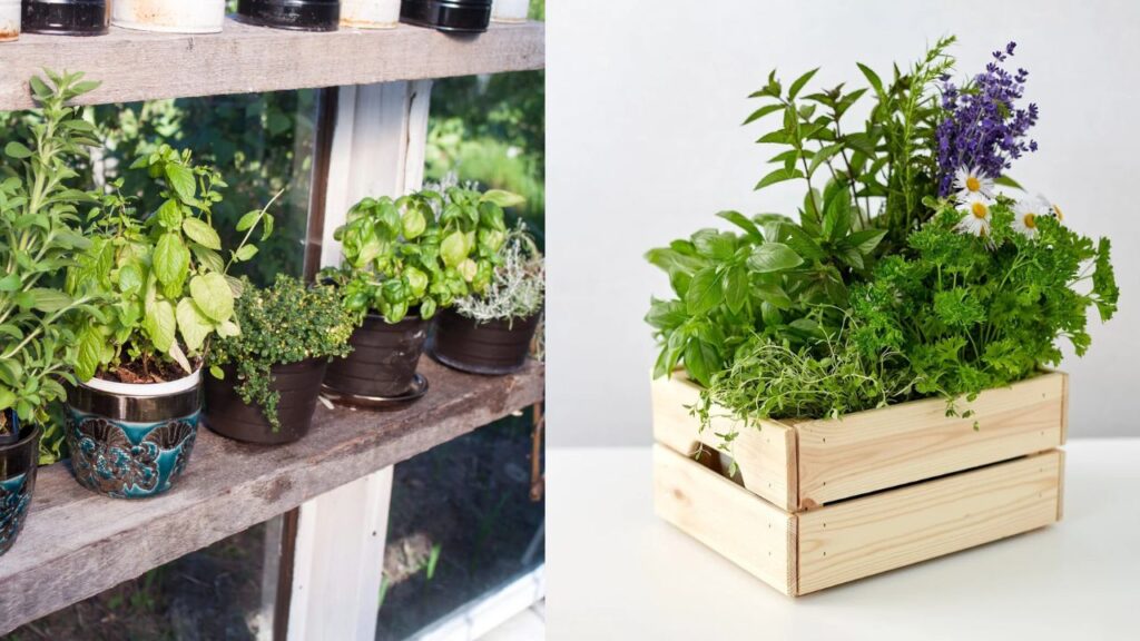 One-Pot Garden Hack