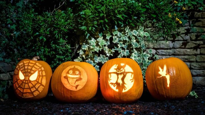 Pumpkin Carving 2025