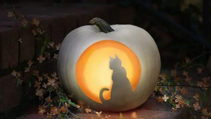 Pumpkin Carving Ideas