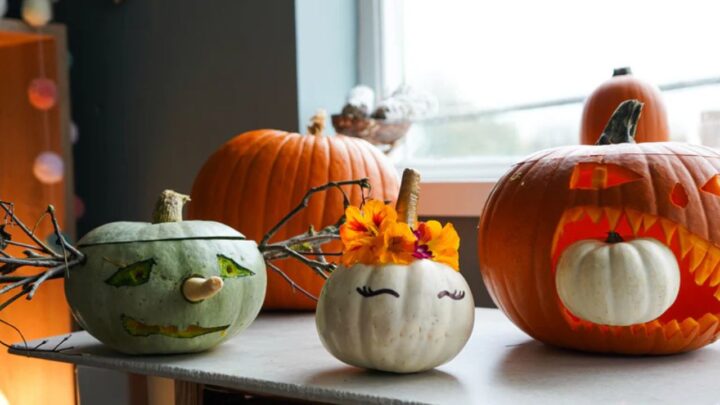 Pumpkin Laughs