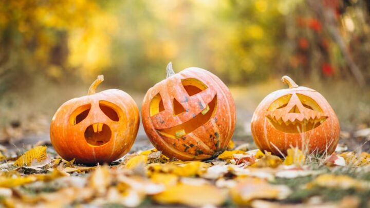 Pumpkin for Halloween