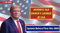 Goodbye Old Driving License in USA : Mandatory Update Before October 31!