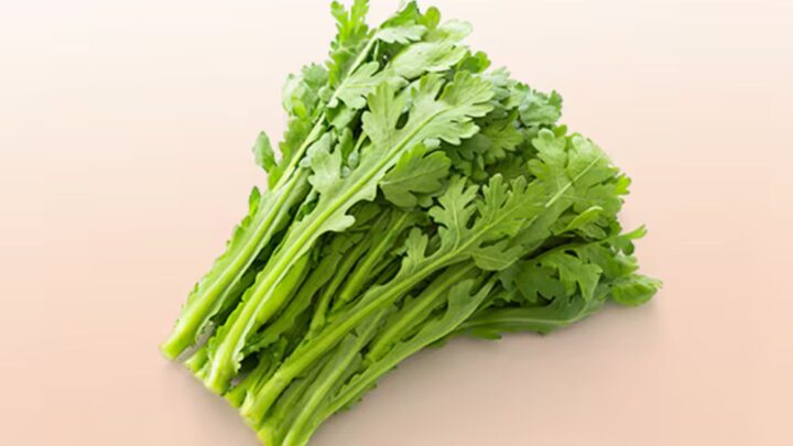 Chrysanthemum Greens Diets